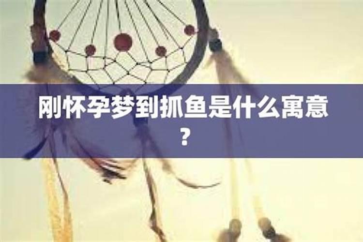 周公解梦 孕妇做梦梦见鱼代表什么  百度宝宝知道