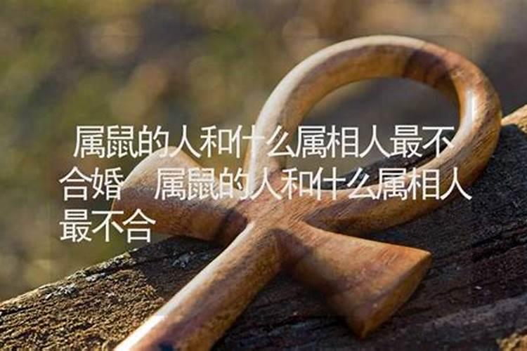 属鼠的和什么属相不合婚姻 属鼠的和什么属相不合相冲