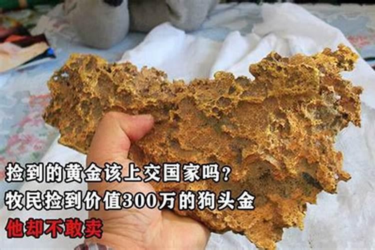 捡到黄金会倒霉吗