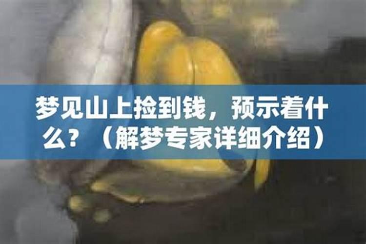 梦见山上到处都是钱是什么意思