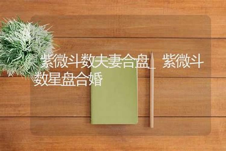 求助紫微星盘解析~