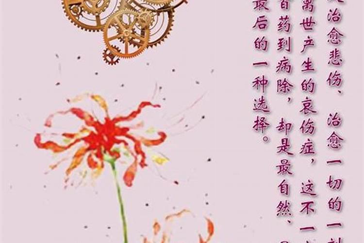 最亲的人没了,为什么做梦梦不到啊!