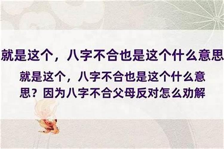 兔和什么八字合 与属兔相合的生肖有哪些
