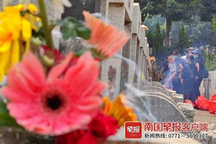 广西清明节扫墓规矩