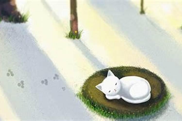 梦见已故奶奶躺在棺材里
