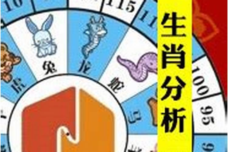 八字测姻缘最准的免费 男女最佳属相婚配表