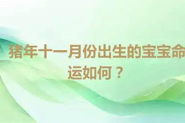 2019年猪年农历小年出生的男宝宝叫什么名字好