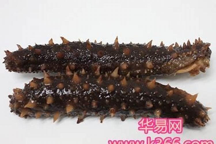 梦见在梦里吃海参的预兆