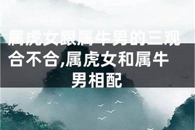 97年牛女和98虎男八字合不合