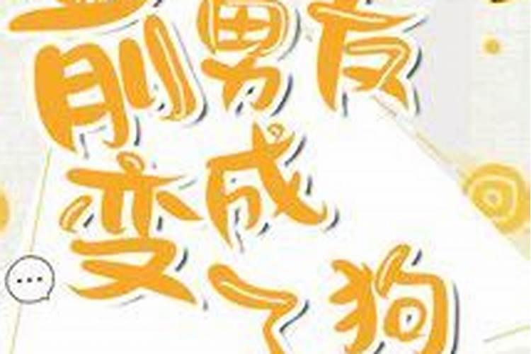 生肖兔2025年运势及运程如何