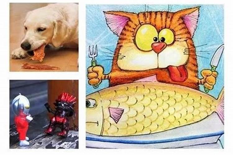 梦到有只猫在我床边睡觉预示着什么意思