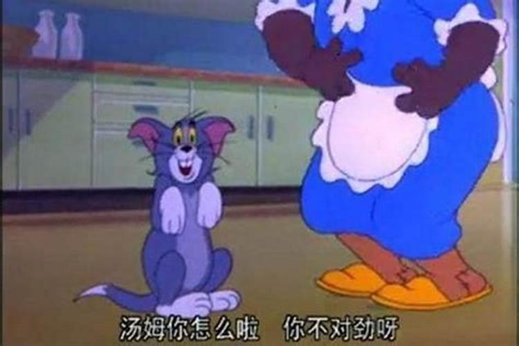 梦见猫变成老鼠的预兆
