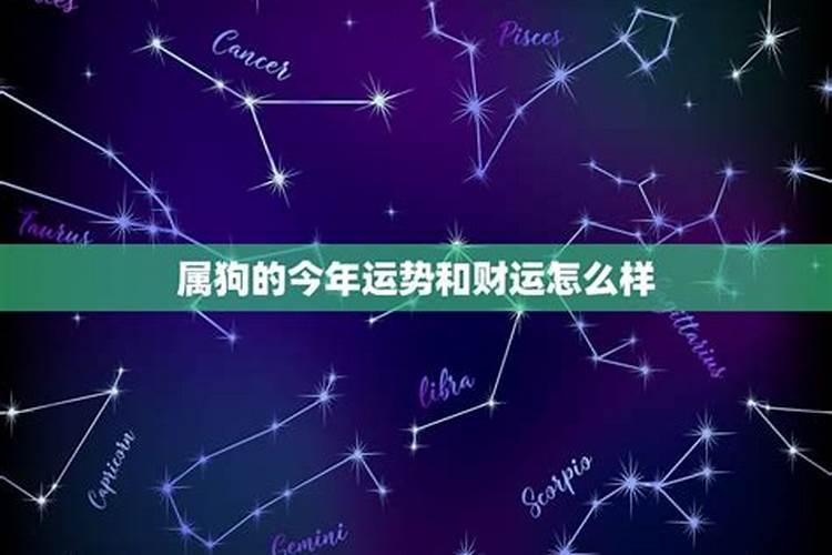 82年属狗2024年必定离婚