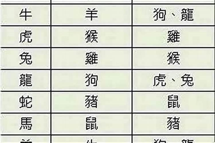算命先生说姻缘的台词
