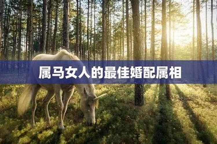 1966年属马和什么属相最配 1966年的人和什么属相最合财