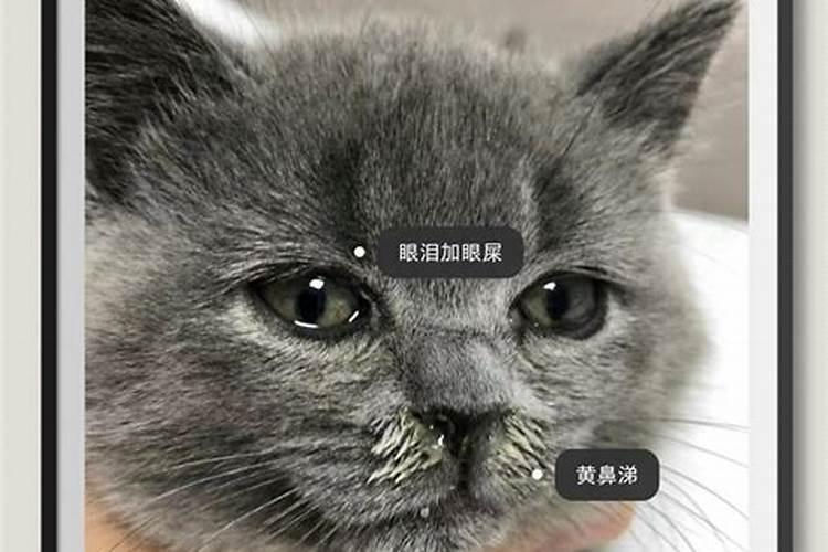 喜欢美女的男人八字 婚姻幸福美满的八字？