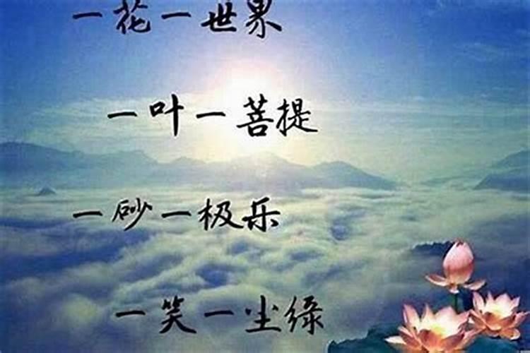 属猪的现在多少岁了,30多岁属猪的是哪年生