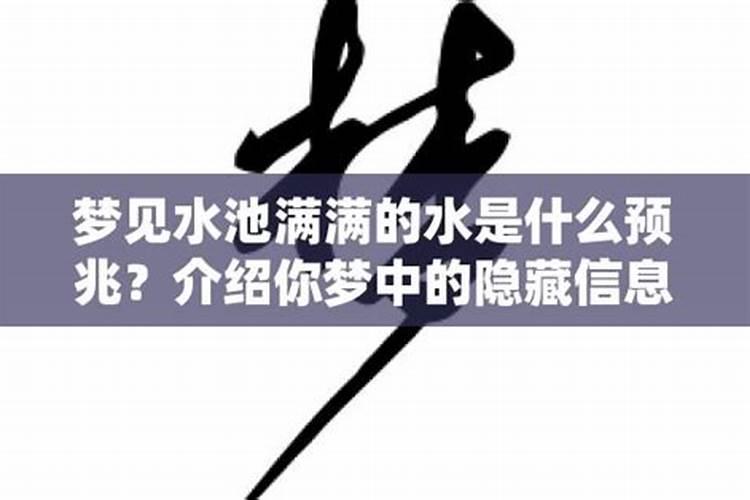 梦见大便池已满的预兆