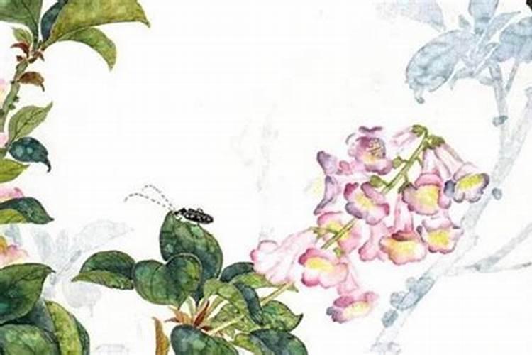 日柱与时柱天合地合婚姻如何 婚姻看日柱还是时柱？