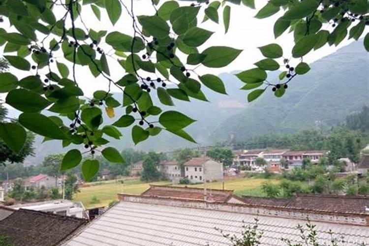 梦见已经死去的亲戚是什么意思 梦见已经死去的亲戚什么征兆
