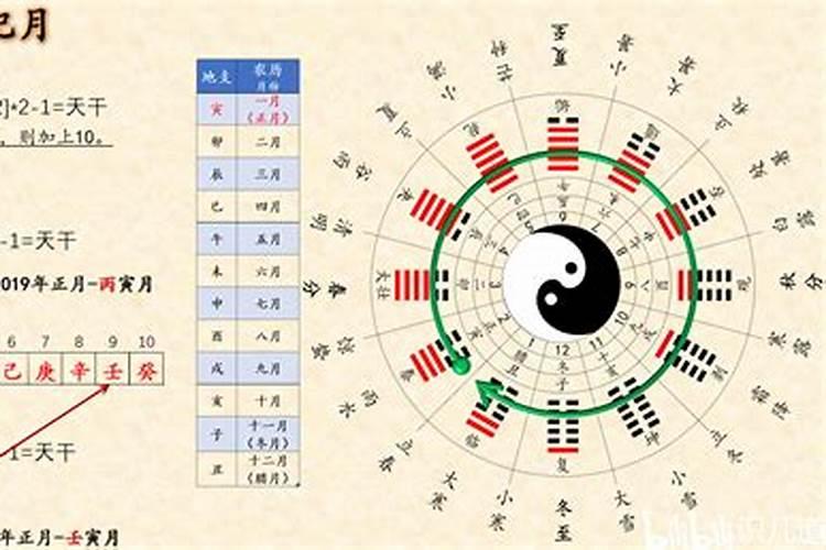 日柱看婚姻准的吓人,从八字的日柱地支看你的夫妻宫
