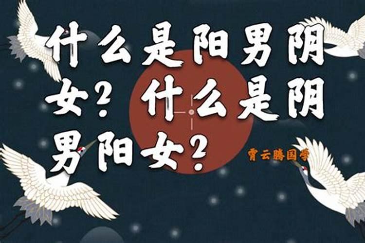 八字纯阴男兔和八字纯阴女鼠和吗