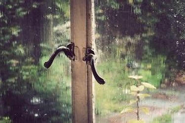 梦见屋子漏雨有什么预兆