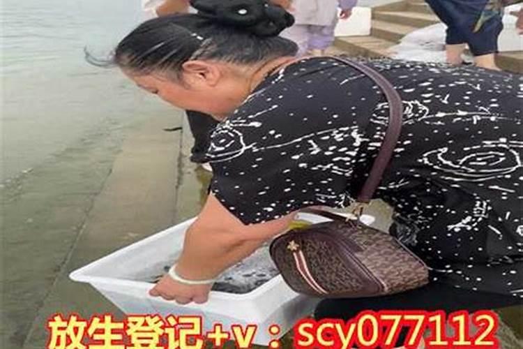 放生鲫鱼几条最好啊？