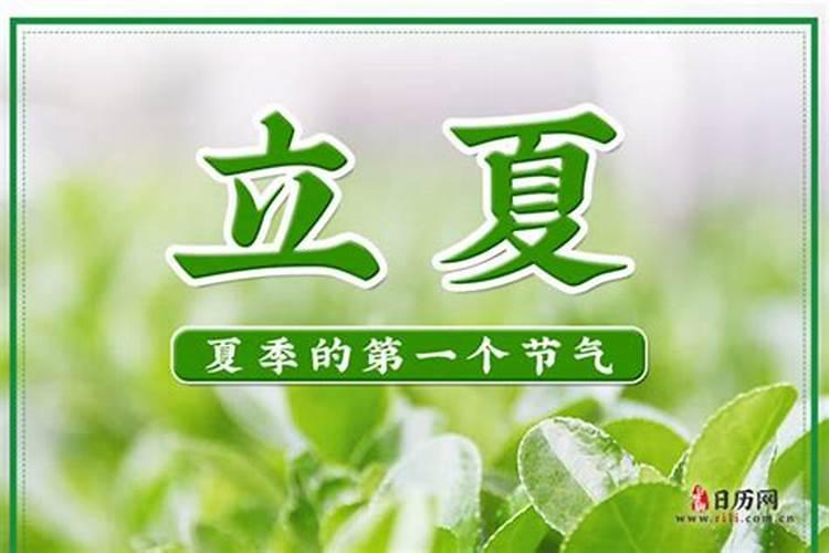 梦见彩色的金鱼和乌龟的预兆