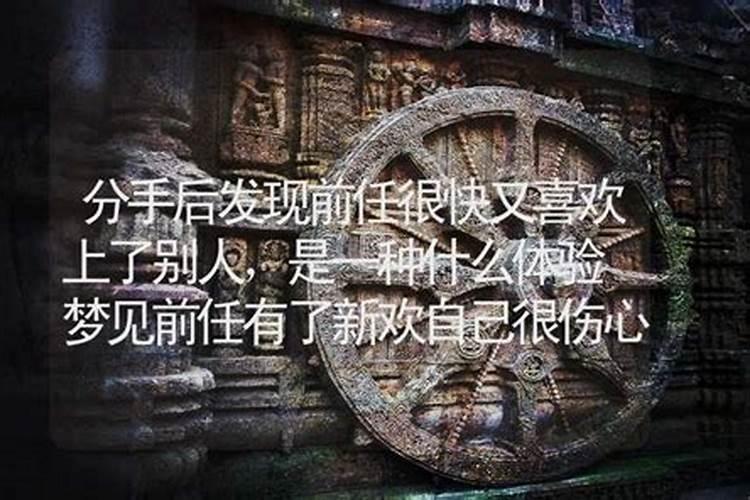 梦见前夫和他新欢