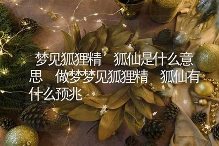 昨晚梦到狐仙了,狐仙先是狐狸,后来变成人。还梦到两个狐仙,第二个是...