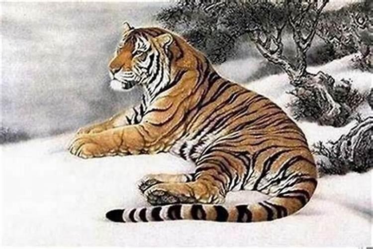 86年12月10号 7点30分出生是什么命