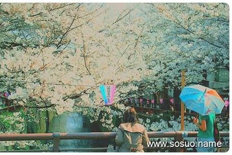 日柱童子的命理解析及其对个人性格与婚姻的深远影响探讨