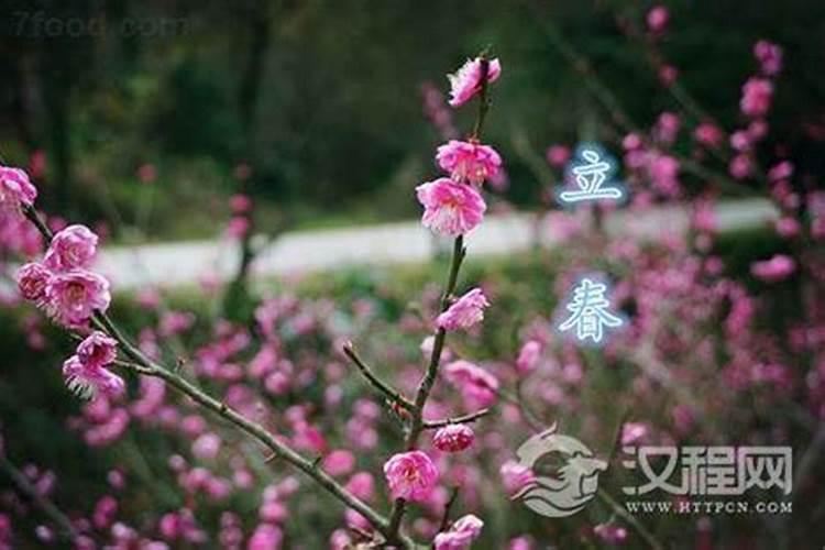 立春的由来和风俗 立春有什么风俗