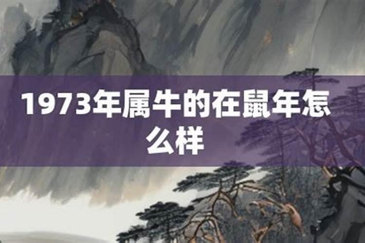 73年生肖牛人哪年发财哪年行大运？