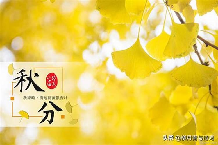 秋分的风俗活动和寓意 秋分节气传统习俗有哪些