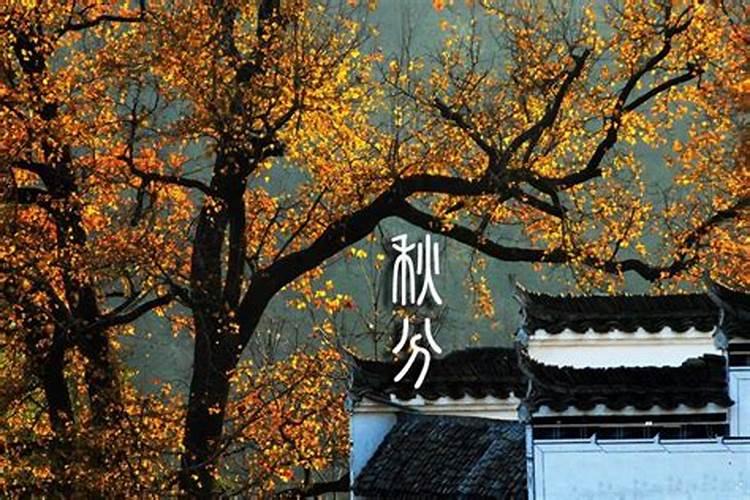 秋分的传统习俗和节气由来一览