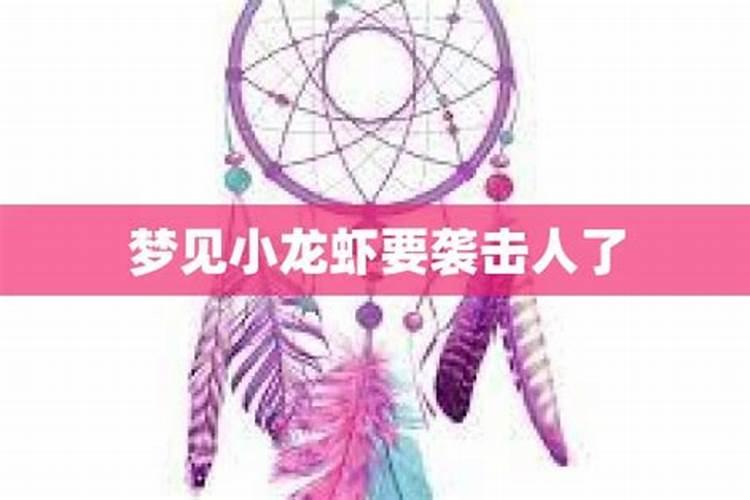 女人梦见龙虾什么预兆