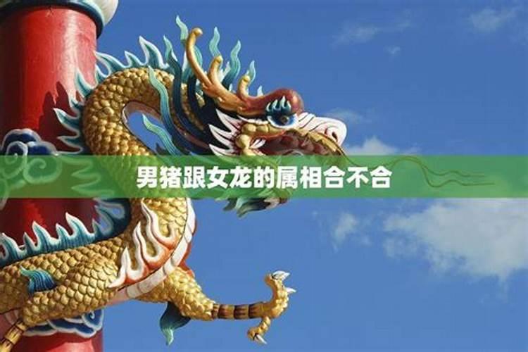 属牛和属龙的婚姻如何