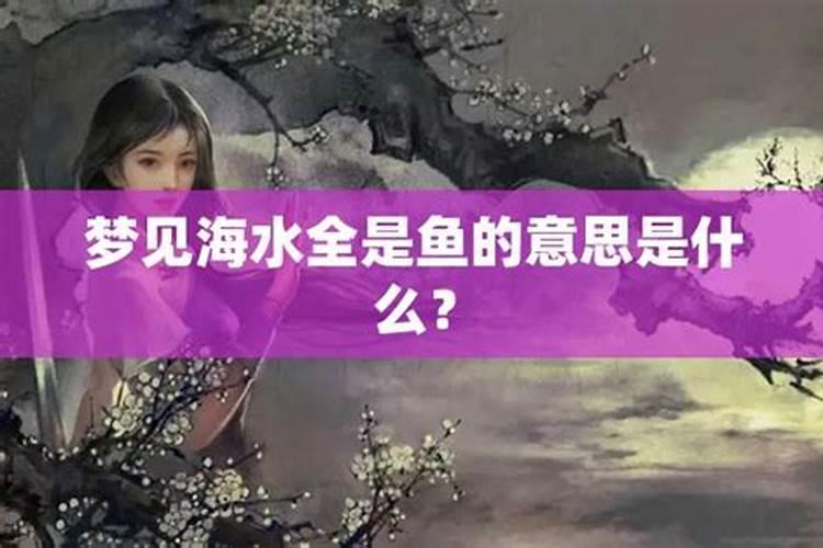 梦见很多鱼预示着什么