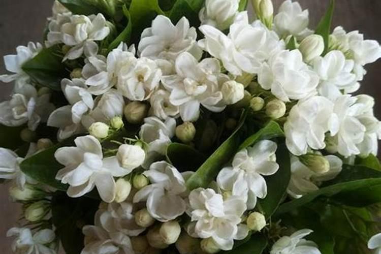 拜神用什么花最好 拜神用什么花