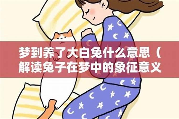 梦到白兔是什么意思 梦到白兔代表什么
