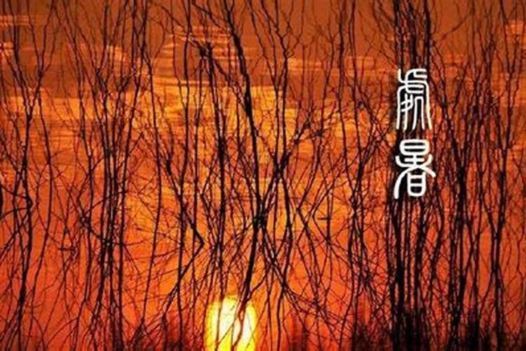 小暑、大暑、立秋和处暑分别在什么时间又代表什么？