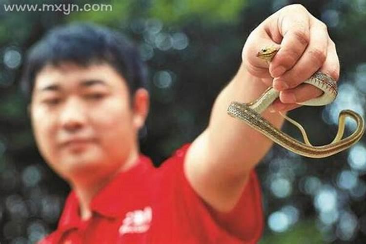 梦见同事变性的预兆