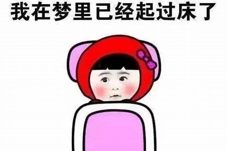 自己睡了,在发梦,但明明知道在发梦,想叫自己起床,但是起不了...