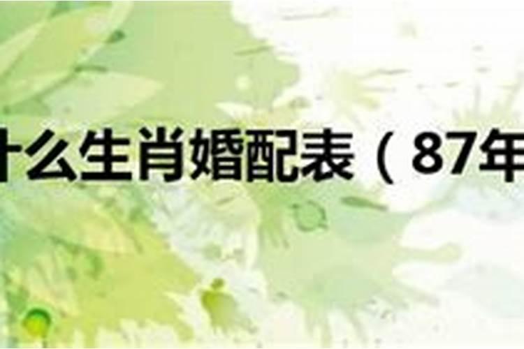 84年属鼠女和87年属兔男配吗 87年属兔男的最佳婚配对象