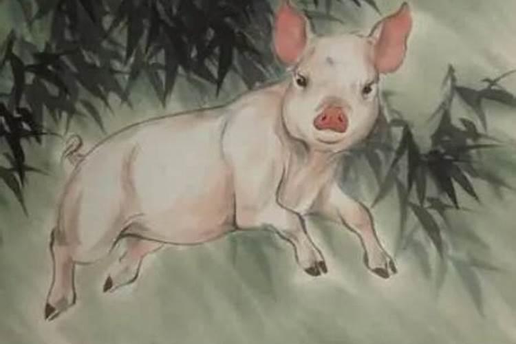农历腊月十九出生的人命运怎么样？