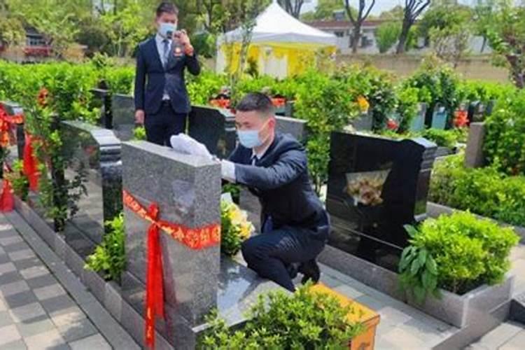 会哭、会叫、会闹？清明临近有偿“代扫”激增,“代哭”收费上千