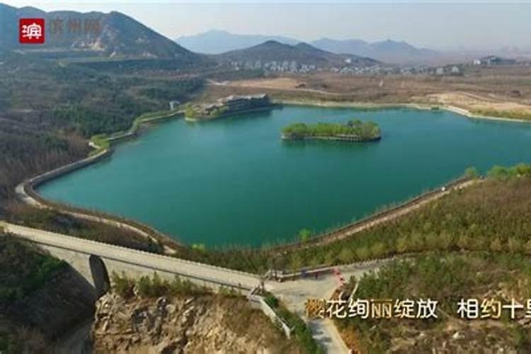 梦见老虎狮子一起出现是什么意思？