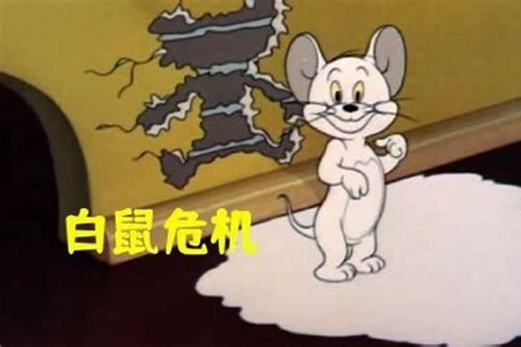 梦到老鼠在家里跑来跑去